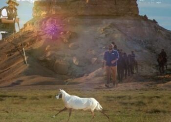 إقبال واسع على ‘موسم العرمة’ وسط طبيعة ساحرة وتجربة استثنائية