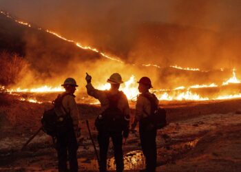 حرائق لوس أنجلوس تدمر مساحة أكبر من باريس