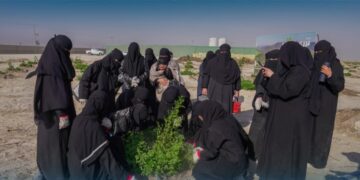 طالبات الأحساء يزرعون الأشجار في مدينة الليمون