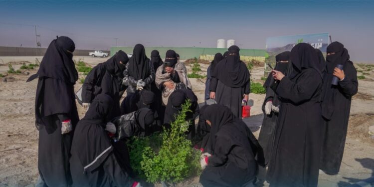 طالبات الأحساء يزرعون الأشجار في مدينة الليمون