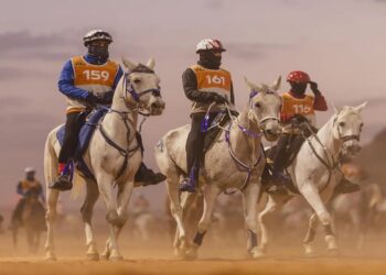 العُلا تستعد لاستضافة كأس الفرسان للقدرة والتحمل 2025