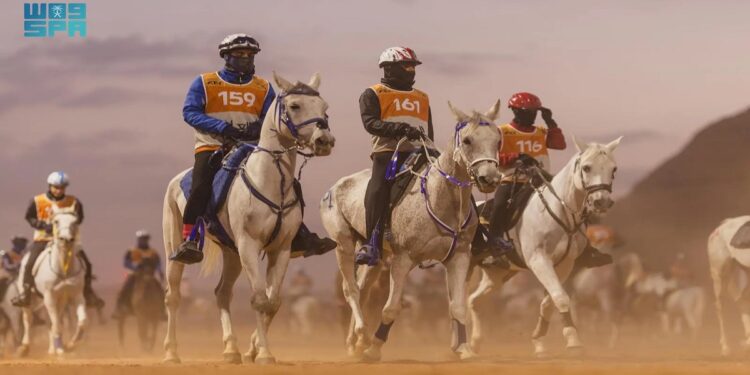 العُلا تستعد لاستضافة كأس الفرسان للقدرة والتحمل 2025