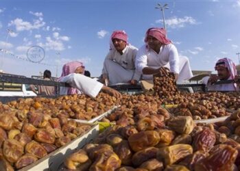 صادرات التمور السعودية تقفز إلى 1.5 مليار طن في 2024