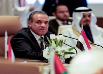 عبد العاطي: لا لإيواء الإرهابيين في سوريا