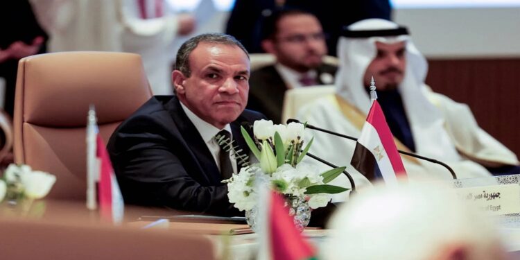 عبد العاطي: لا لإيواء الإرهابيين في سوريا