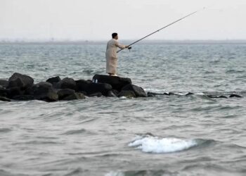 عسير تحصد 41 مليون دولار من الثروة السمكية