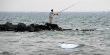 عسير تحصد 41 مليون دولار من الثروة السمكية