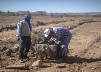 البنك الدولي يحذّر: تدهور الأراضي يكلّف المليارات ويدعم الحلول المستدامة