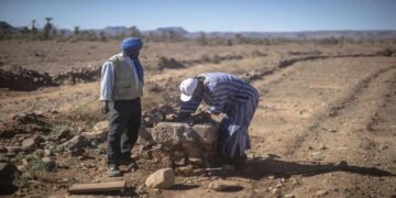 البنك الدولي يحذّر: تدهور الأراضي يكلّف المليارات ويدعم الحلول المستدامة