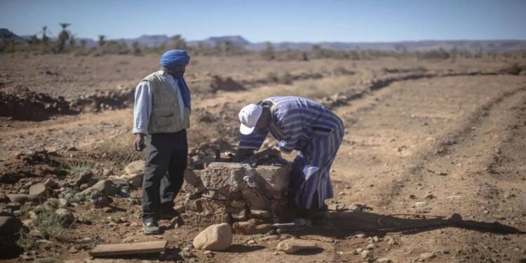 البنك الدولي يحذّر: تدهور الأراضي يكلّف المليارات ويدعم الحلول المستدامة