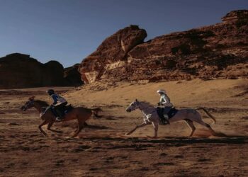 العُلا تستعد لاستضافة كأس الفرسان للقدرة والتحمّل 2025