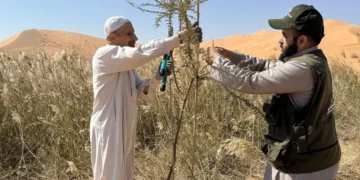 لإعادة الحياة إلى الصحراء.. سعوديون ينثرون 22 مليون بذرة في الربع الخالي (فيديو)