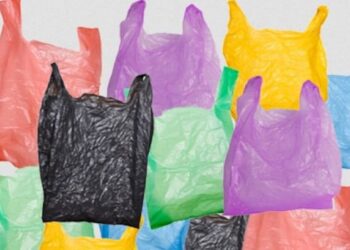 مختص : تجميد الأطعمة في أكياس البقالة خطر على الصحة