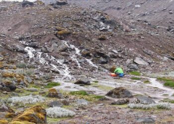 “كاوست” تنفذ دراسة بحثية على “الميكروبيوم” في جداول الأنهار الجليدية