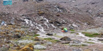 “كاوست” تنفذ دراسة بحثية على “الميكروبيوم” في جداول الأنهار الجليدية