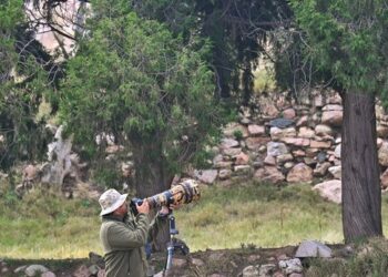 في حديث لـ”تفاعل السعودية”.. قنّاص الدرر يكشف أسرار كنوز السعودية النادرة