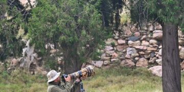 في حديث لـ”تفاعل السعودية”.. قنّاص الدرر يكشف أسرار كنوز السعودية النادرة