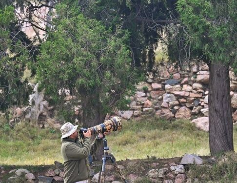 في حديث لـ”تفاعل السعودية”.. قنّاص الدرر يكشف أسرار كنوز السعودية النادرة