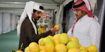 اختتام فعاليات مهرجان نجران الوطني للحمضيات