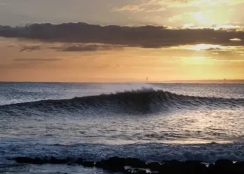 المغرب يصدر 385 ألف تأشيرة زيارة إلكترونية في عامين