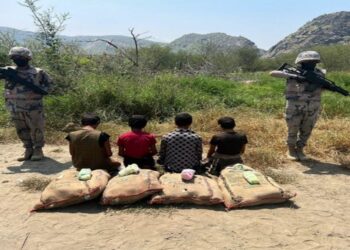 حرس الحدود بمنطقة عسير يضبط 4 مخالفين لنظام أمن الحدود أثناء محاولة تهريب 80 كيلوجرامًا من نبات القات المخدر