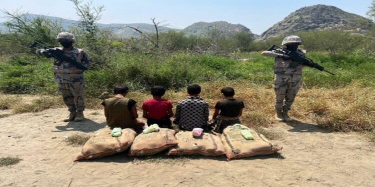 حرس الحدود بمنطقة عسير يضبط 4 مخالفين لنظام أمن الحدود أثناء محاولة تهريب 80 كيلوجرامًا من نبات القات المخدر