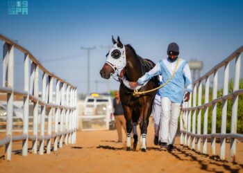 الجواد “نجم الصامل” يحقق بطولة الحفل العاشر في ميدان الفروسية بالجوف