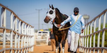 الجواد “نجم الصامل” يحقق بطولة الحفل العاشر في ميدان الفروسية بالجوف