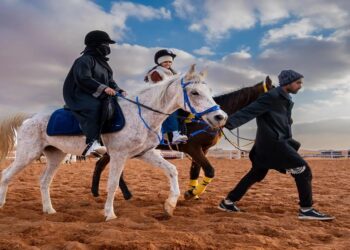 “دونز أوف آريبيا”: تجربة أصيلة مع الجمال والخيل العربية