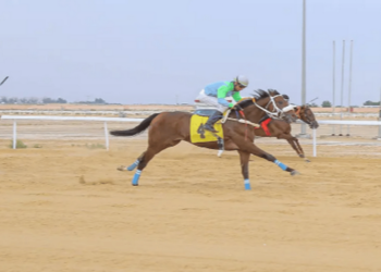 ميدان فروسية المدينة المنورة يُقيم الحفل العاشر للسباقات