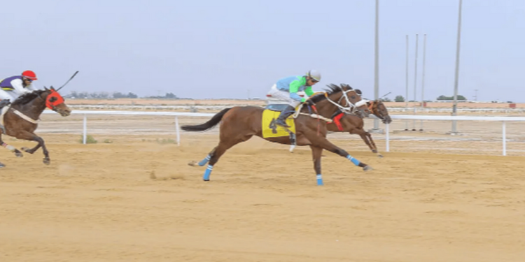 ميدان فروسية المدينة المنورة يُقيم الحفل العاشر للسباقات