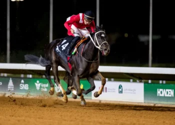 “فروسية نجران” تُنظّم سباقها الثالث للموسم الحالي غدًا