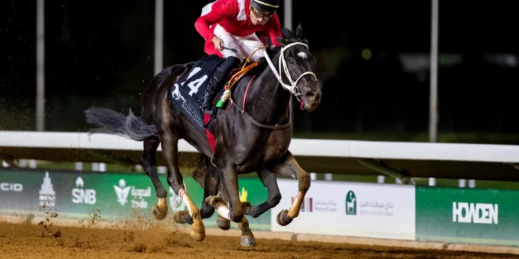 “فروسية نجران” تُنظّم سباقها الثالث للموسم الحالي غدًا