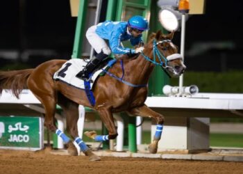الجواد “عشق بلادي” يحصد جائزة الحفل الرابع بميدان نجران