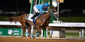 ميدان سباقات الخيل بنجران ينظم حفل سباقه السادس للموسم الحالي غدًا