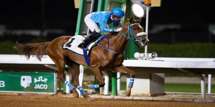 ميدان سباقات الخيل بنجران ينظم حفل سباقه السادس للموسم الحالي غدًا