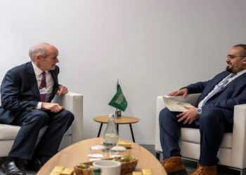 وزير الاقتصاد والتخطيط يجتمع برئيس مجموعة علي بابا