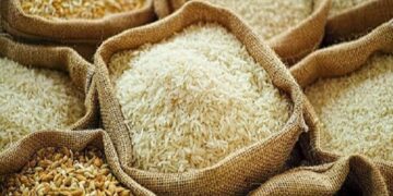 مبيعات الأرز في السعودية تتجاوز 4 مليارات دولار خلال العام الجاري