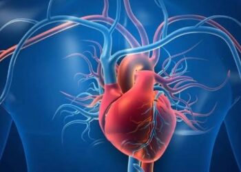 استشاري: بخور “الكبو” والعطور القوية تهدد صحة مرضى القلب