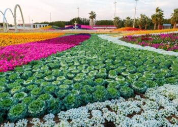 انطلاق فعاليات “مهرجان الزهور والحدائق الـ 15 بينبع الصناعية” بعد غدٍ