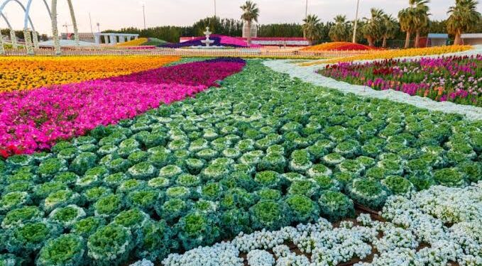 انطلاق فعاليات “مهرجان الزهور والحدائق الـ 15 بينبع الصناعية” بعد غدٍ