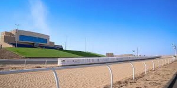 ميدان الهجن بنجران يكشف نتائج المرحلة الأولى من سباق “الميادين الرابع”