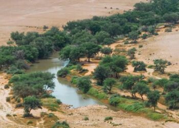 نشر ضوابط التصريح للأنشطة السياحية في محمية الملك عبدالعزيز الملكية