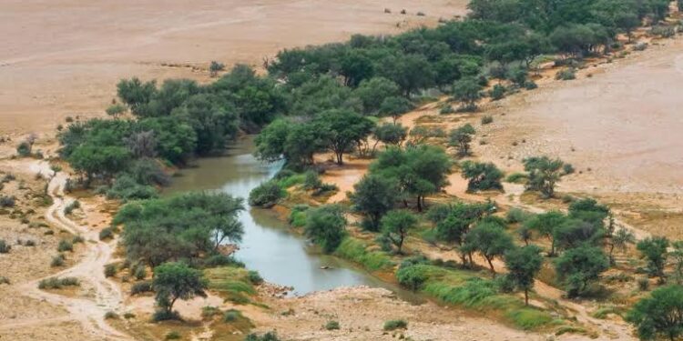 نشر ضوابط التصريح للأنشطة السياحية في محمية الملك عبدالعزيز الملكية