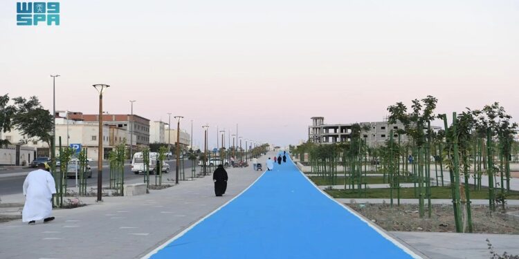 “مسارات شوران”.. مشروع يعزز الهوية البصرية وجودة الحياة في المدينة المنورة