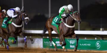 مهرجان كؤوس الملوك والأمراء .. إحياء لذكرى قيادات الوطن