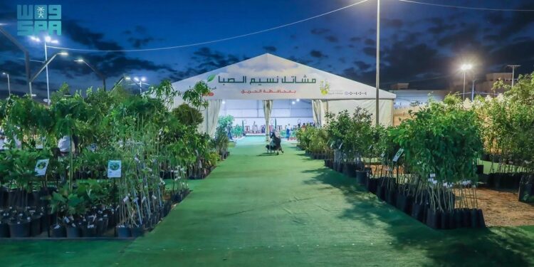 منظومة هيئة تنمية البحث والتطوير والابتكار: مرحلة استثنائية من الدعم والتمكين