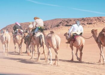 رحّالة بريطانيون يقطعون 500 كم على ظهور الإبل داخل محمية الملك سلمان الملكية في رحلة استكشافية فريدة