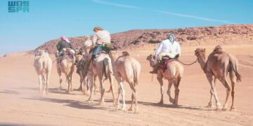 رحّالة بريطانيون يقطعون 500 كم على ظهور الإبل داخل محمية الملك سلمان الملكية في رحلة استكشافية فريدة