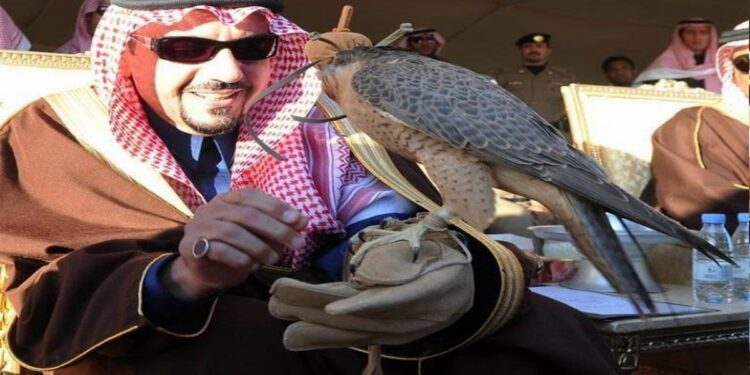 أمانة القصيم تطلق مهرجان الصقور بالأسياح لتعزيز التراث الثقافي السعودي